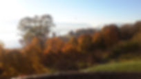 Riversideview.jpeg