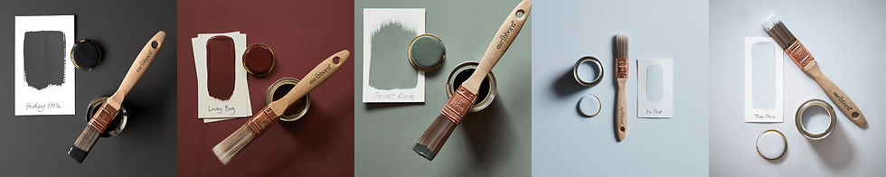 Earthborn colours - Conservation Technology.jpg
