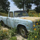 The old truck in the Texas pasture.