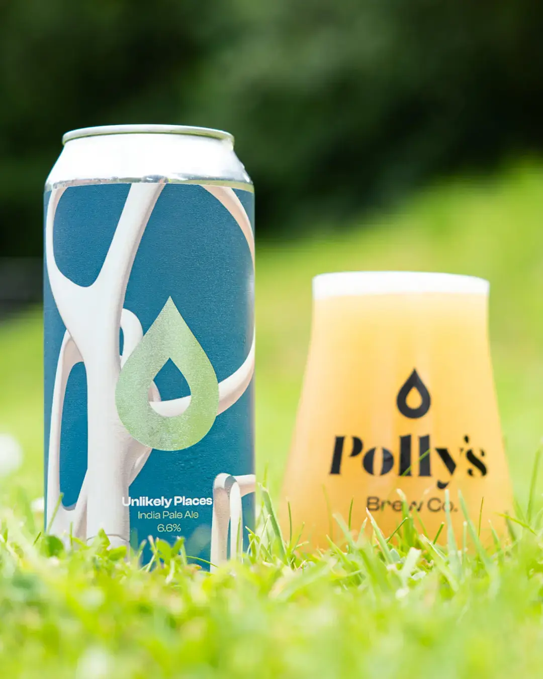 Unlikely Places - Pollys Brew Co