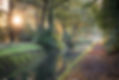DSC05496.jpg
