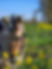 20230419_155346.jpg