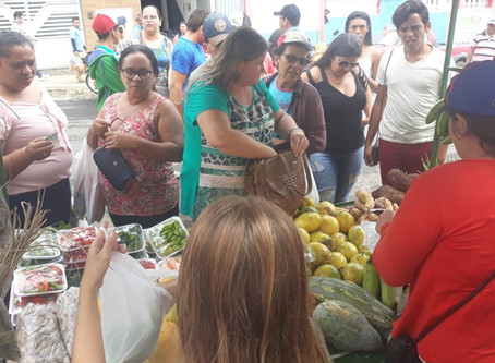 Governo estadual regulamenta Programa de compras de alimentos da Agricultura Familiar