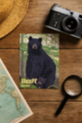 Illustrated postcard of black bear and cub in forest with "Banff Canada" text