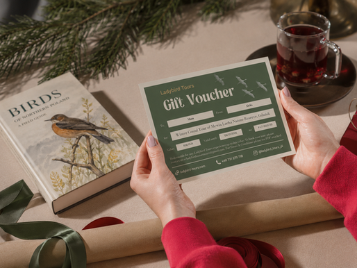 Gift voucher in hands with birds of nothern Poland field guide on the table.