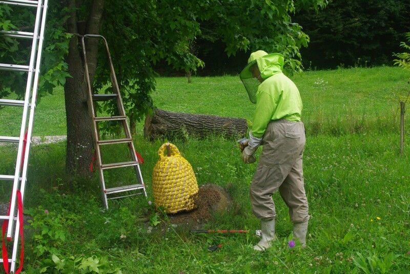 Miniatura: Straw Bee Skep, Traditional bee skep