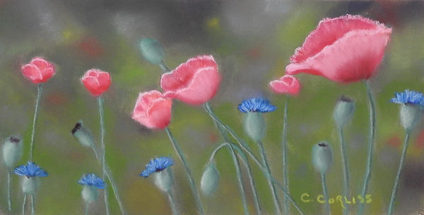 WR CarolCorliss-PoppyDanceI.jpg