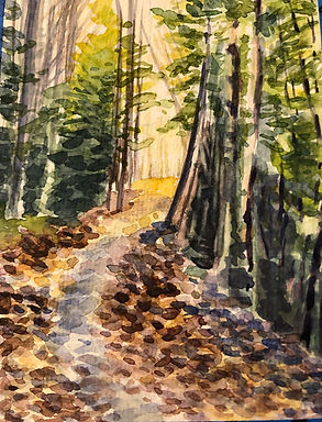 WR Char Russell - evergreens and light.jpg