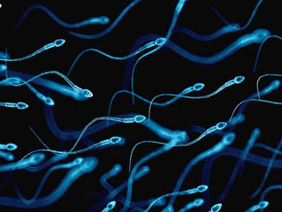 Como aumentar a fertilidade masculina