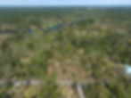 Bayou Liberty