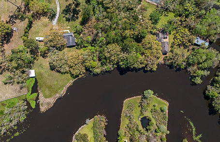 Bayou Liberty
