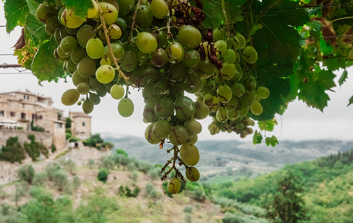 TrulyItaly_35.jpg