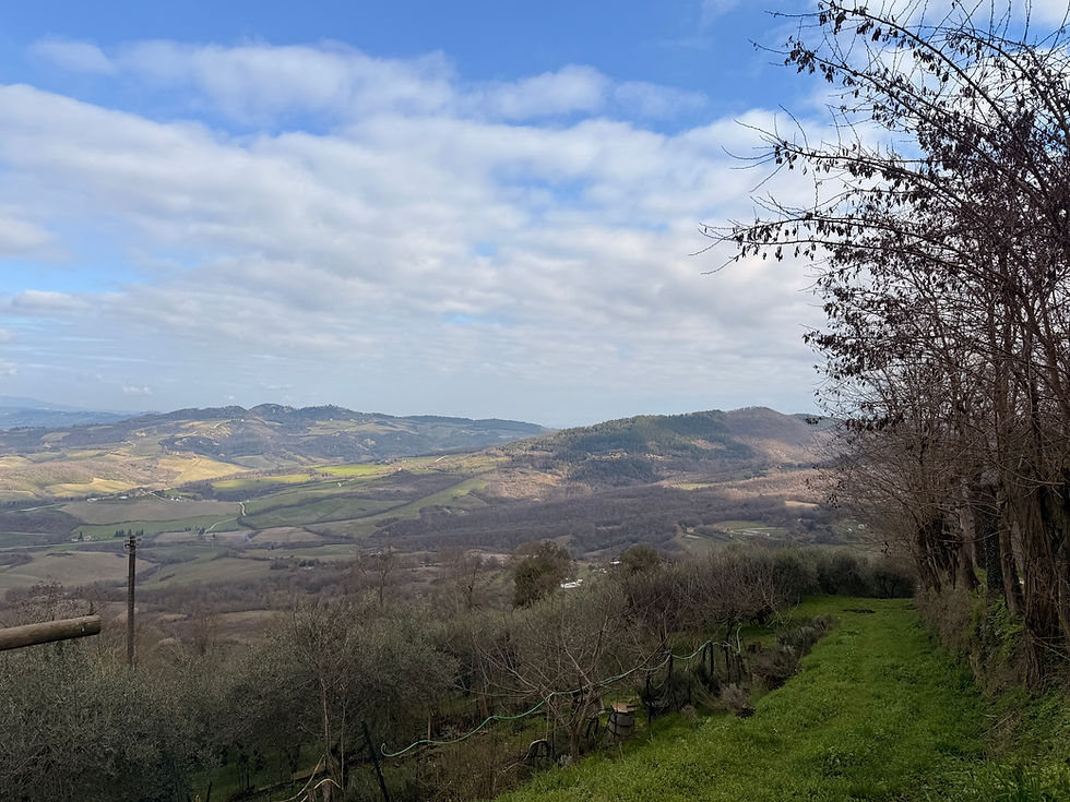 Why I Paused My Trips