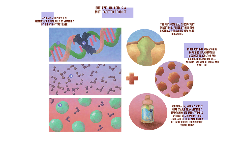 de558aca-00fe-46f5-aaf5-e1d8aba564a2_rw_1920.png