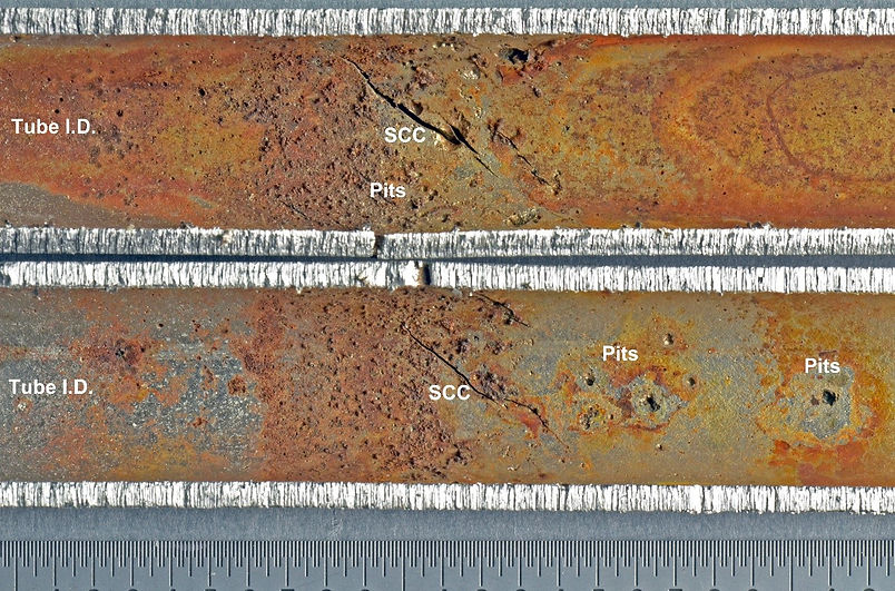 Fig2.jpg