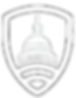 SignalShield_Logo_White_Transparent_edited_edited_edited.png