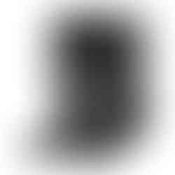 WPM Primus Espressomachine — Tandwielpomp met Drukprofilering (KD-360X)