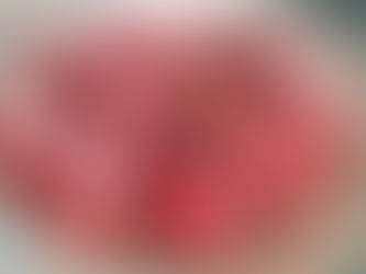 Les macarons pomme caramel