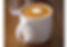 フラットホワイト　flat white