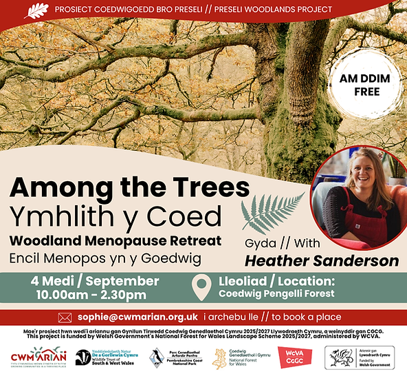 ymhlith-y-coed-among-the-trees-heather-sanderson-cwm-arian.png