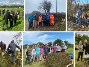 Ymunwch â'n rhaglen wirfoddoli newydd