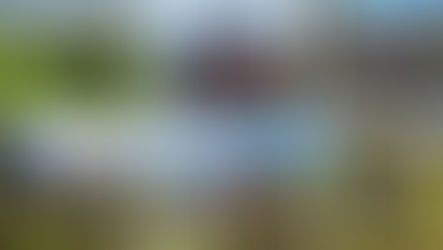 Ymunwch â'n rhaglen wirfoddoli newydd