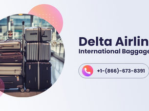 What Is Delta International Baggage Allowance and Fees Guide?