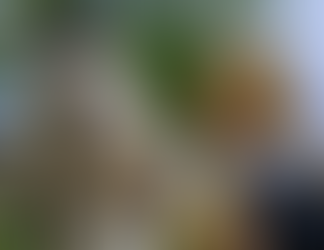 Image of Chloë Sevigny in Magic Farm on MUBI: Image Courtesy of MUBI