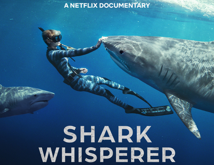 Ocean Ramsey reaches out to gently touch a shark’s nose during a free dive, surrounded by deep blue water: Courtesy of Netflix