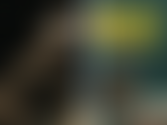 Sally Field as Tova leans toward an aquarium glass, gazing at Marcellus the giant Pacific octopus, voiced by Alfred Molina.