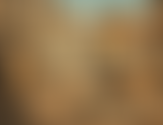 Fox cartoon journalist in a 1930s-style city holds a newspaper reading “We Told You So! The Media Spectacle!” while pedestrians read papers outside the Daily Globe News building.