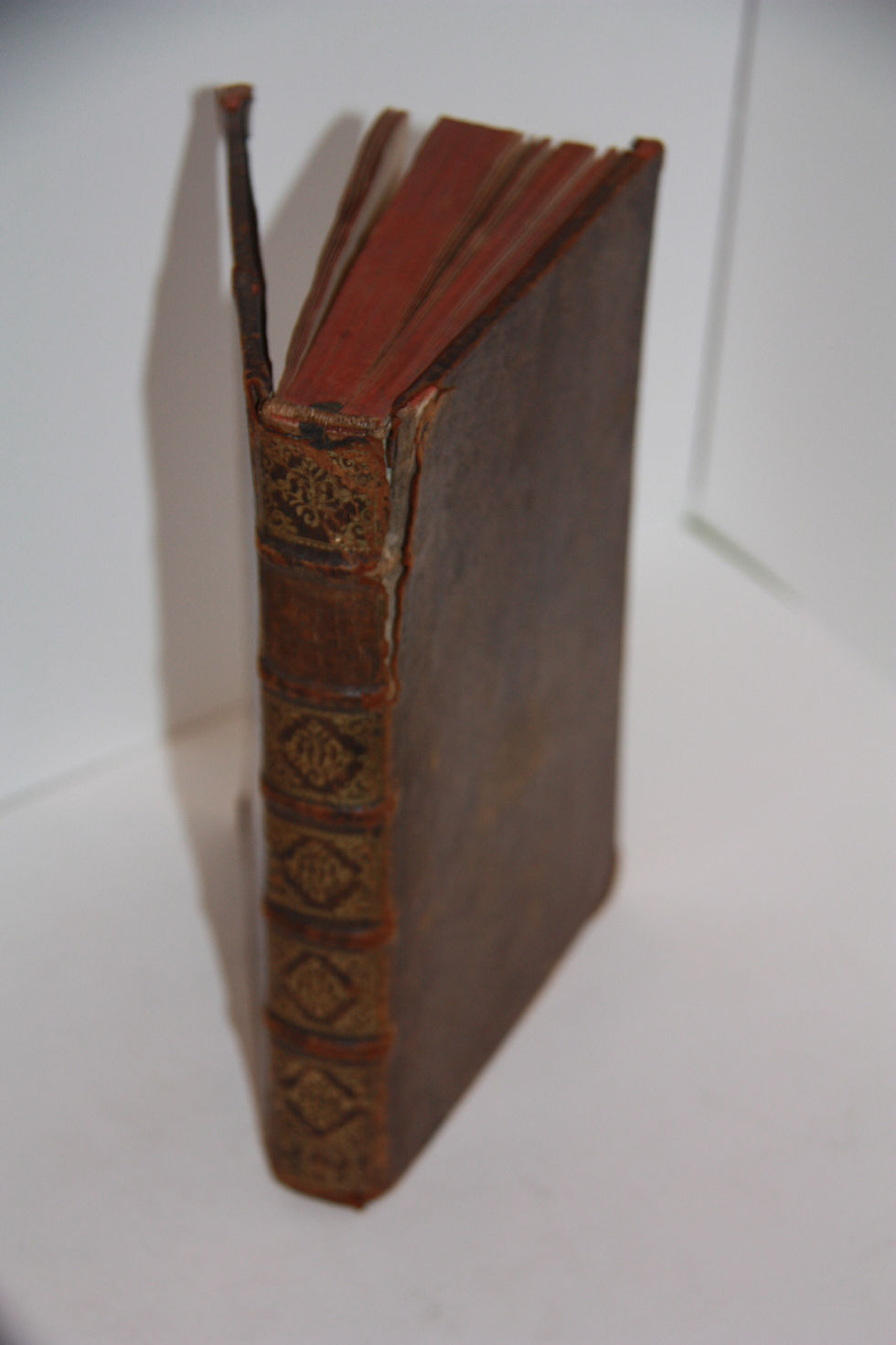 Miniature : Des enluminures...