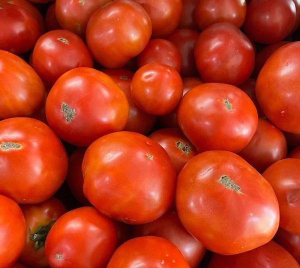 Tomatoes-Galore.jpg