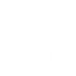 organization (1).png