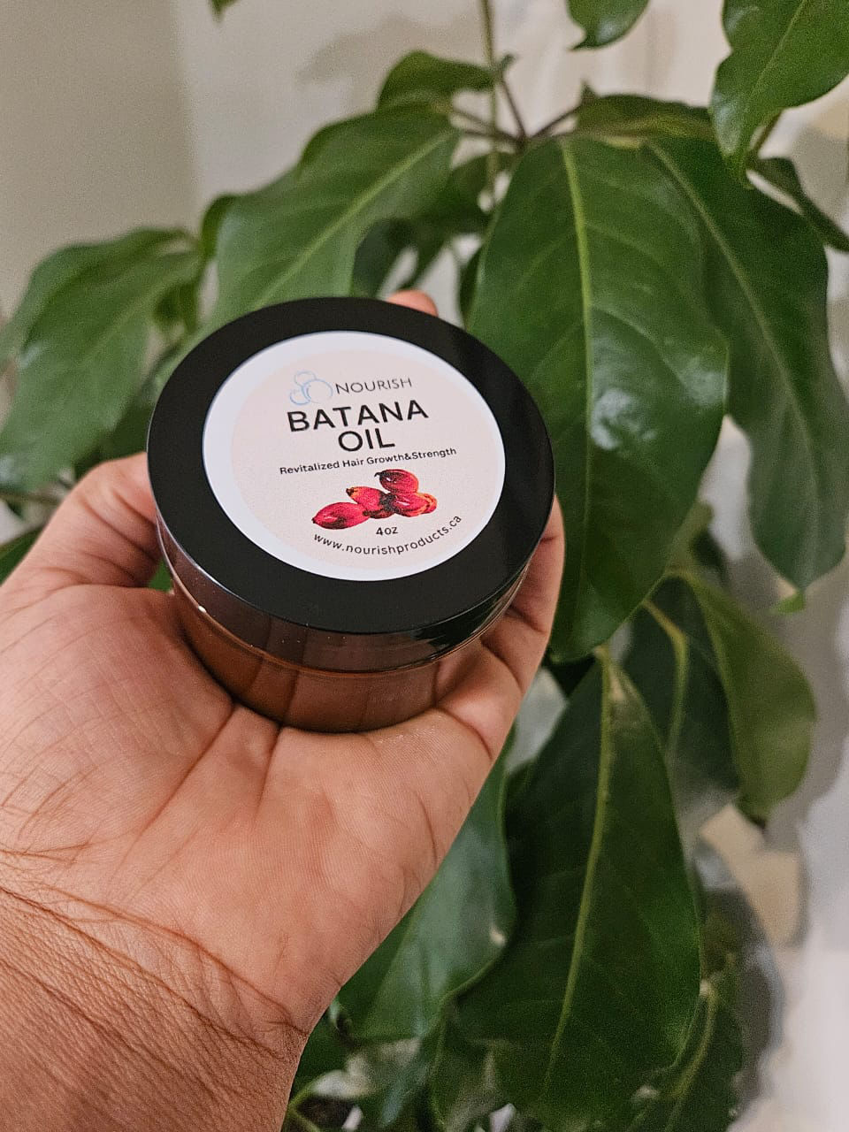 Thumbnail: Batana Oil