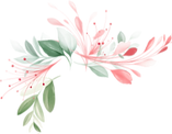 pink flowers
