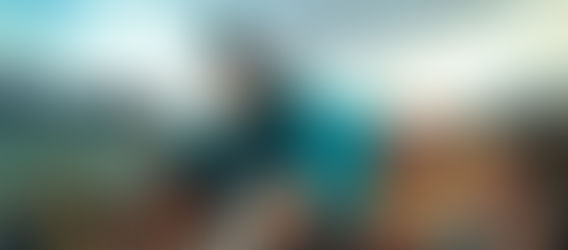 WHAT IS MISSING FROM THE (PAROCHIAL) PROJECT 2028