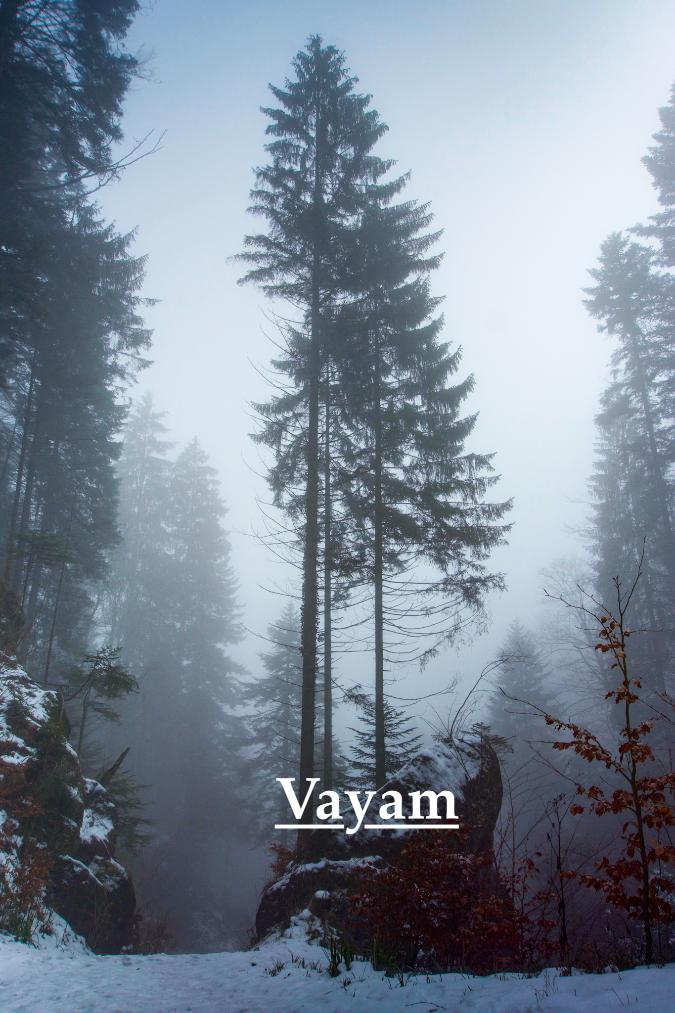 Foggy Mood