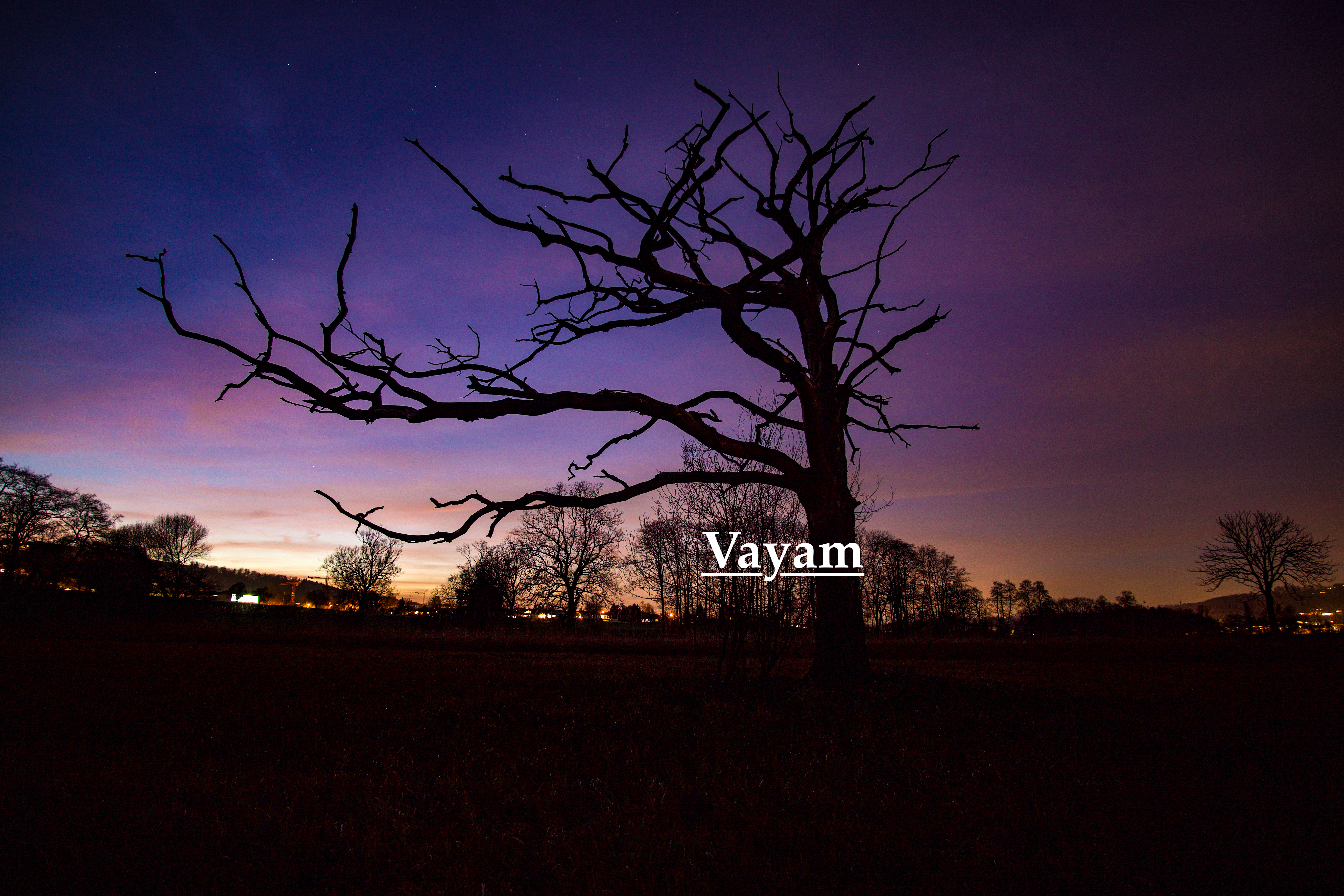 Tree