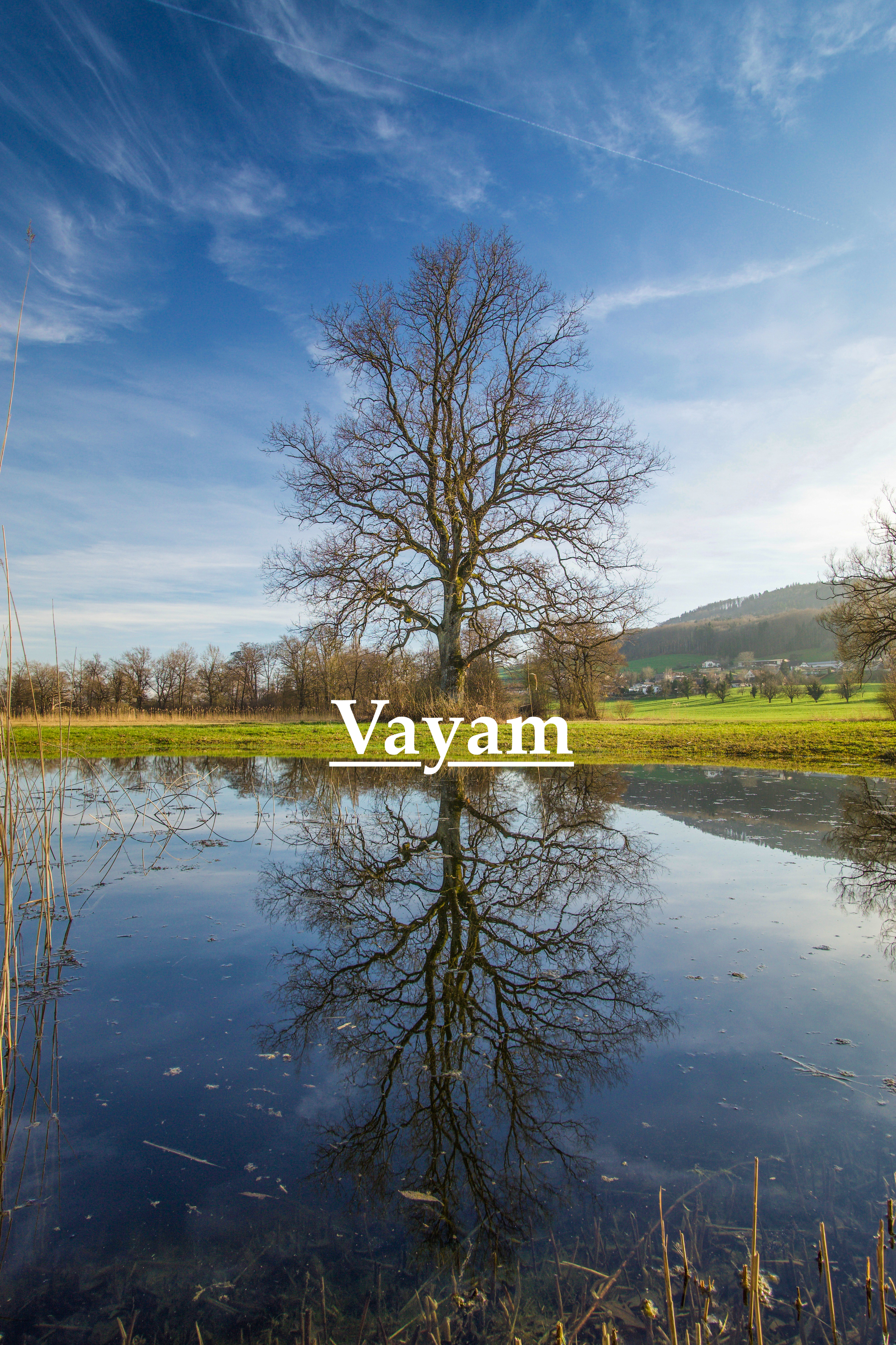 Big Reflection