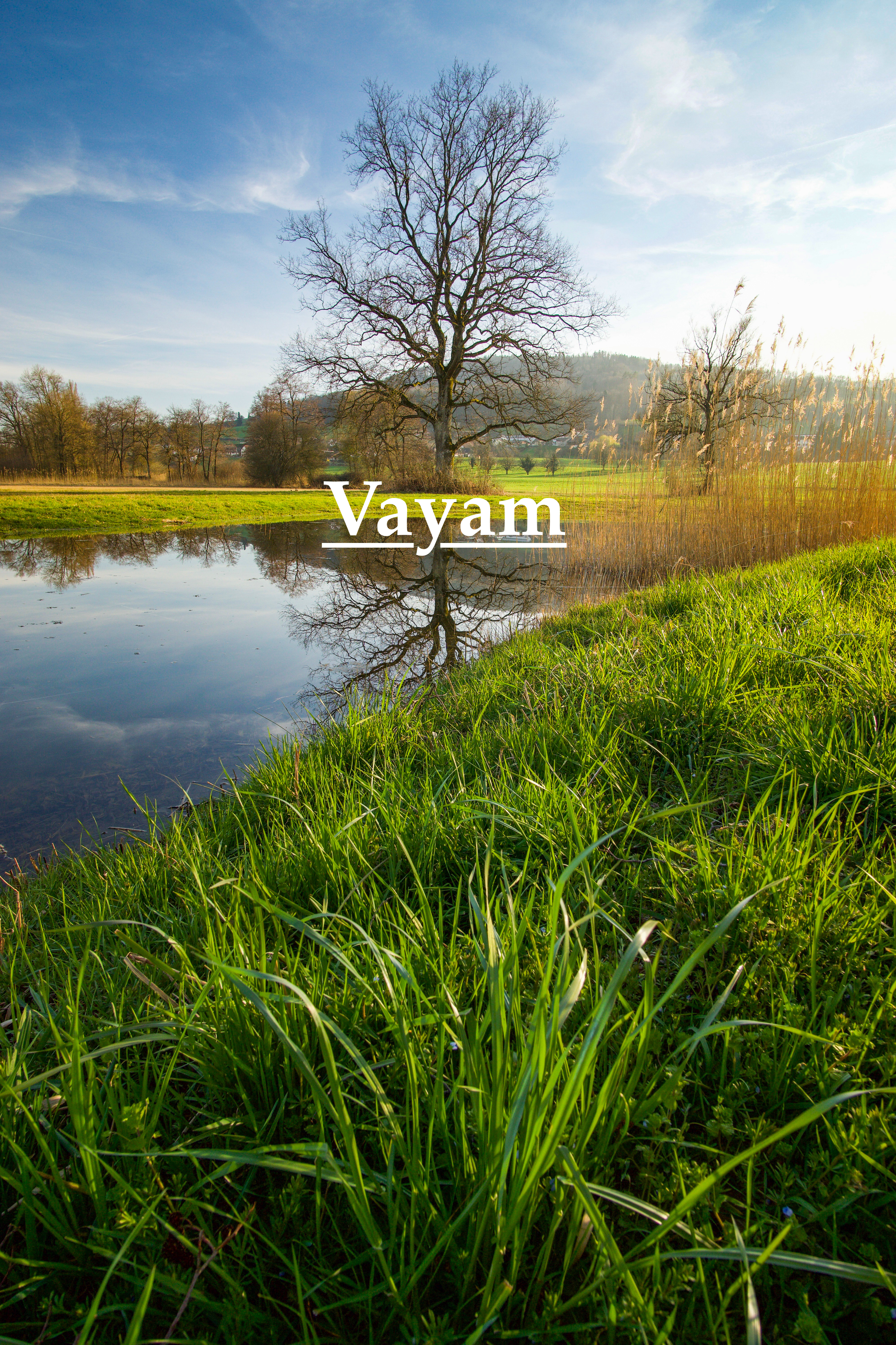 Green Land