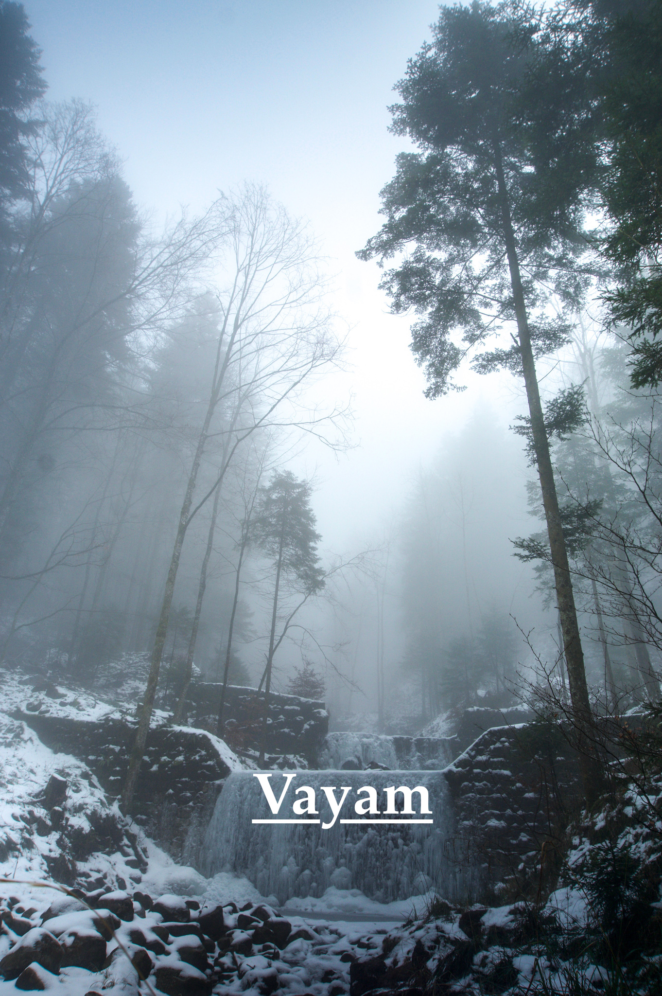 Foggy Mood