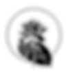 Buddhist Peace Fellowship Logo