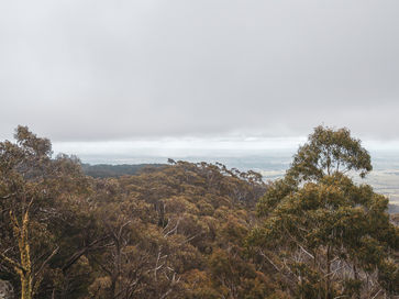 DSC_0028.jpg
