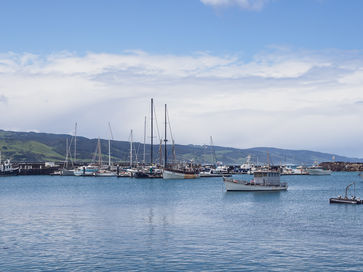 DSC_0149.jpg