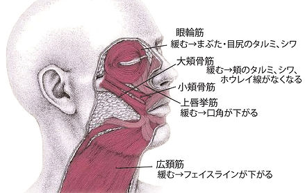 Dさん.jpg