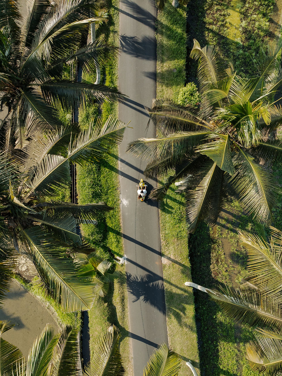 DJI_0577.jpg
