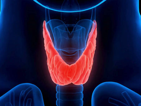 No es pereza: es disfunción tiroidea oculta
