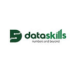 data skills