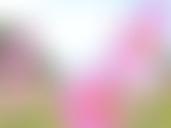 毎日に感謝✨